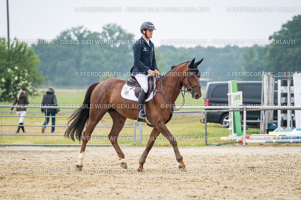 DSC00670 | Pferdegrafie