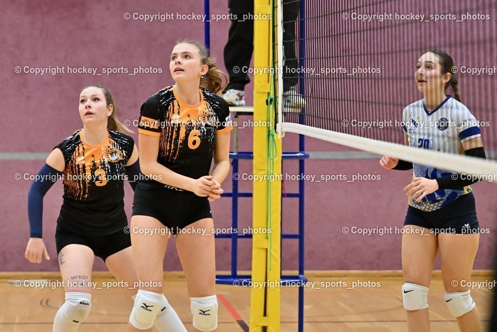 ASKÖ Volley Eagles vs. SSV HIB Volley 21.1.2024 | #6 Zuzana Emma PREININGER, #3 Sabrina BUTTAZONI