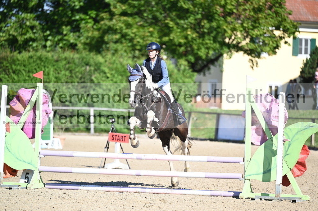 DSC_7939 | equestrian-live-com