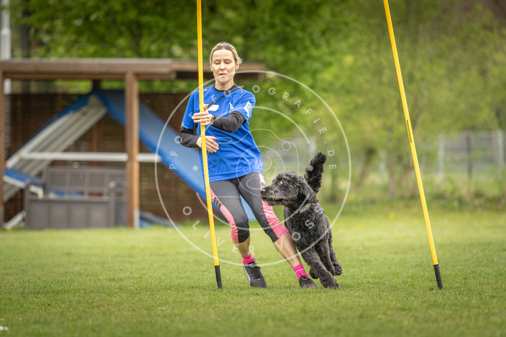 Pfotenfotografie_DV3A0097 | Hundefotografie, Tierfotograf, Pfotenfotografie, Fotoshooting Hund, Hunde Portrait, Hundesport, Hundeportraits, Heideshooting, Hunde, Sportfotograf, Hundefotograf, Turnierhundsport, THS,  - Realisiert mit Pictrs.com