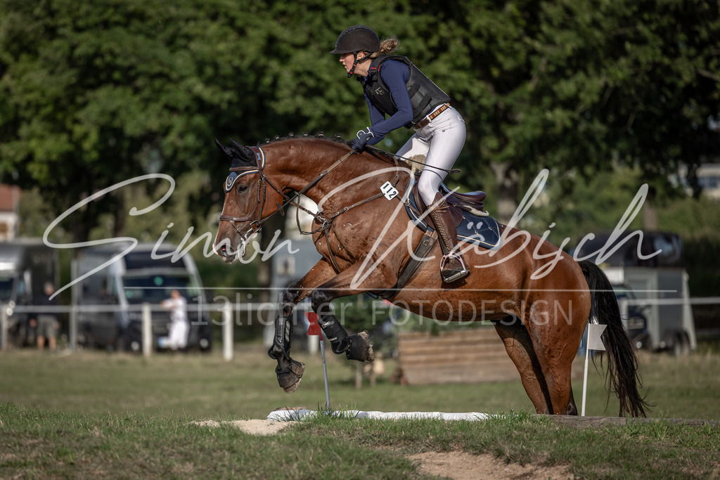 20250907-_3LI8737 | Tierfotografie Pferde, Hunde, Katzen, Haustiere.
Turnierfotografie Reitturniere, Reiten, Springreiten, Dressur in Hanau, dem Main-Kinzig-Kreis und dem Rhein-Main- Gebiet um Frankfurt