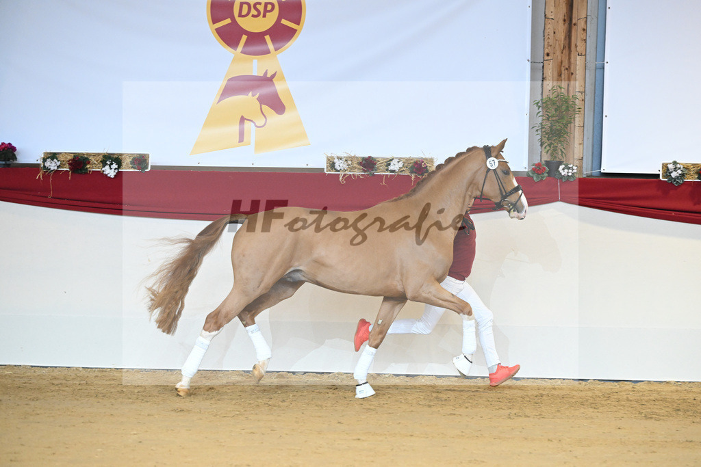 Kat-Nr. 57 Fuerst Samarant_Beckmann_1231429 | hf-fotografie - Realisiert mit Pictrs.com