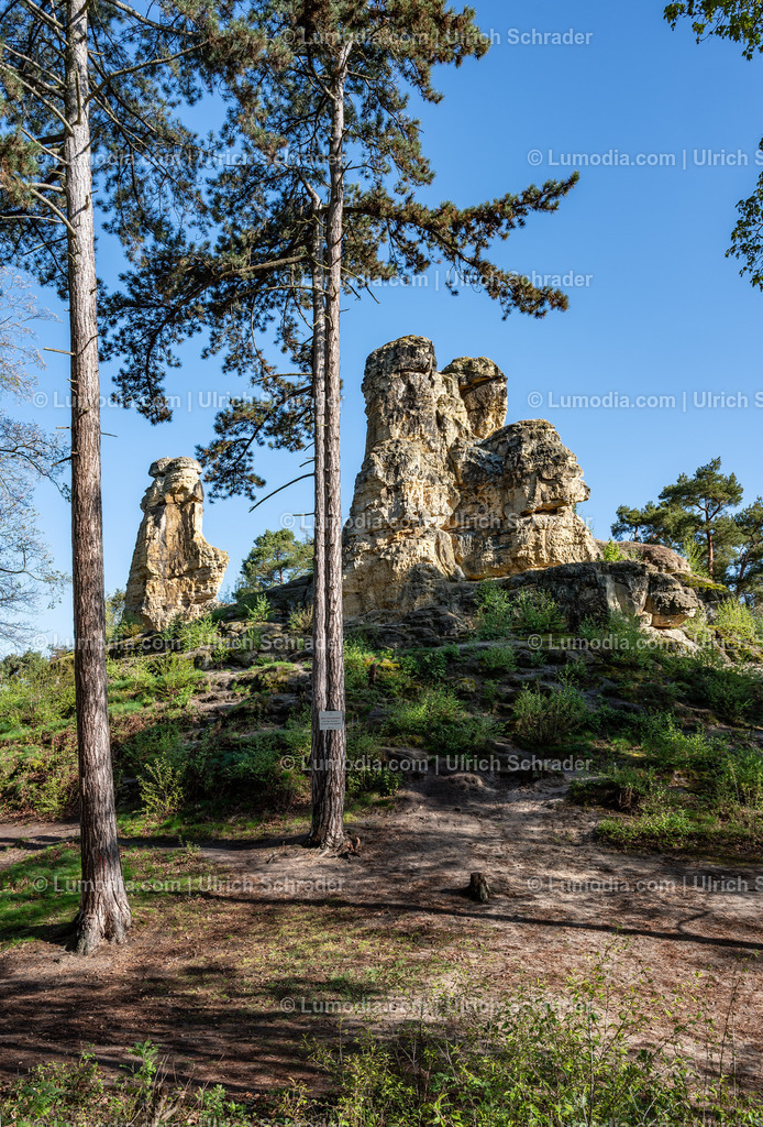 10049-13972 - Halberstadt - In den Klusbergen | Stockfoto und Bilderpool mit Bildmaterial aus Deutschland, dem Harz, Halberstadt, Quedlinburg, Wernigerode und weltweit. Qualitativ hochwertige und professionelle Fotos anschauen und kaufen. - Realized with Pictrs.com