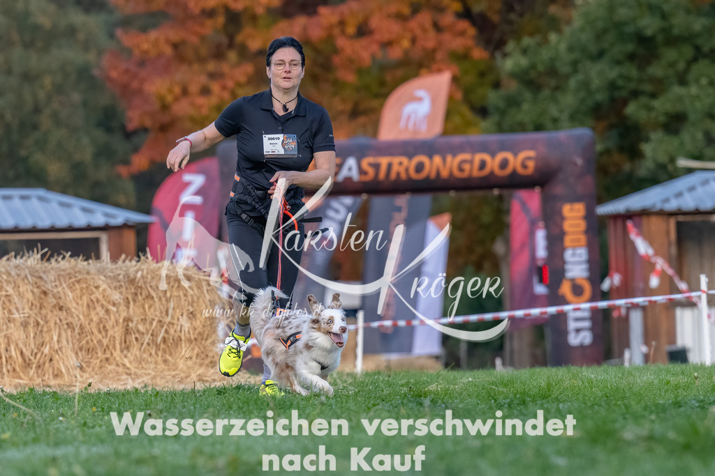 0815_ZZ90009-Bearbeitet | kk-dogfotos