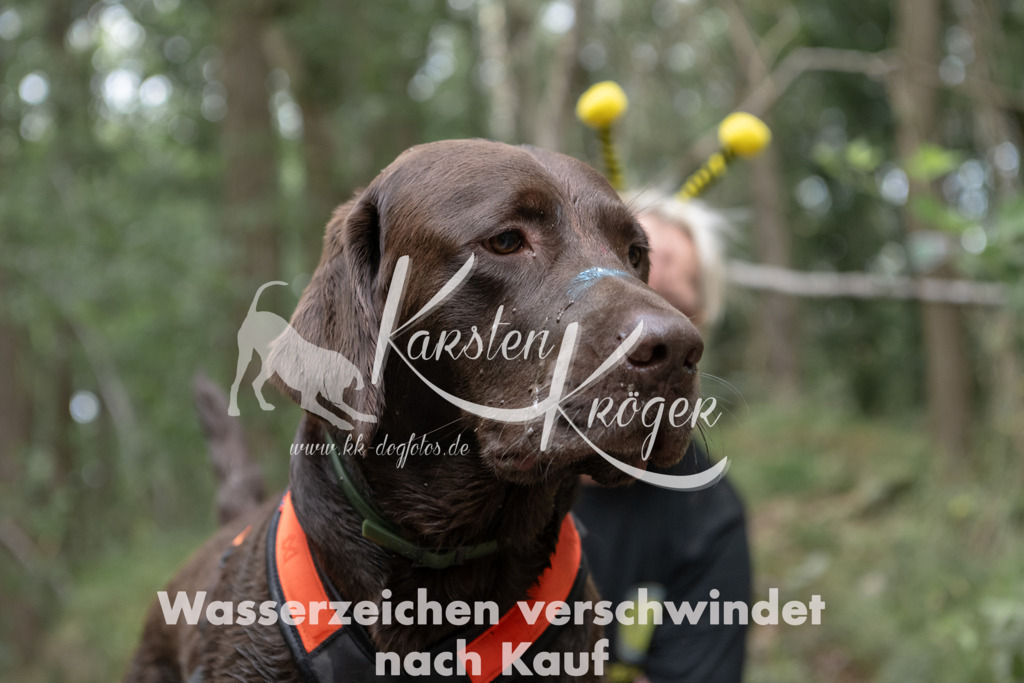 1340_ZZ95411 | kk-dogfotos