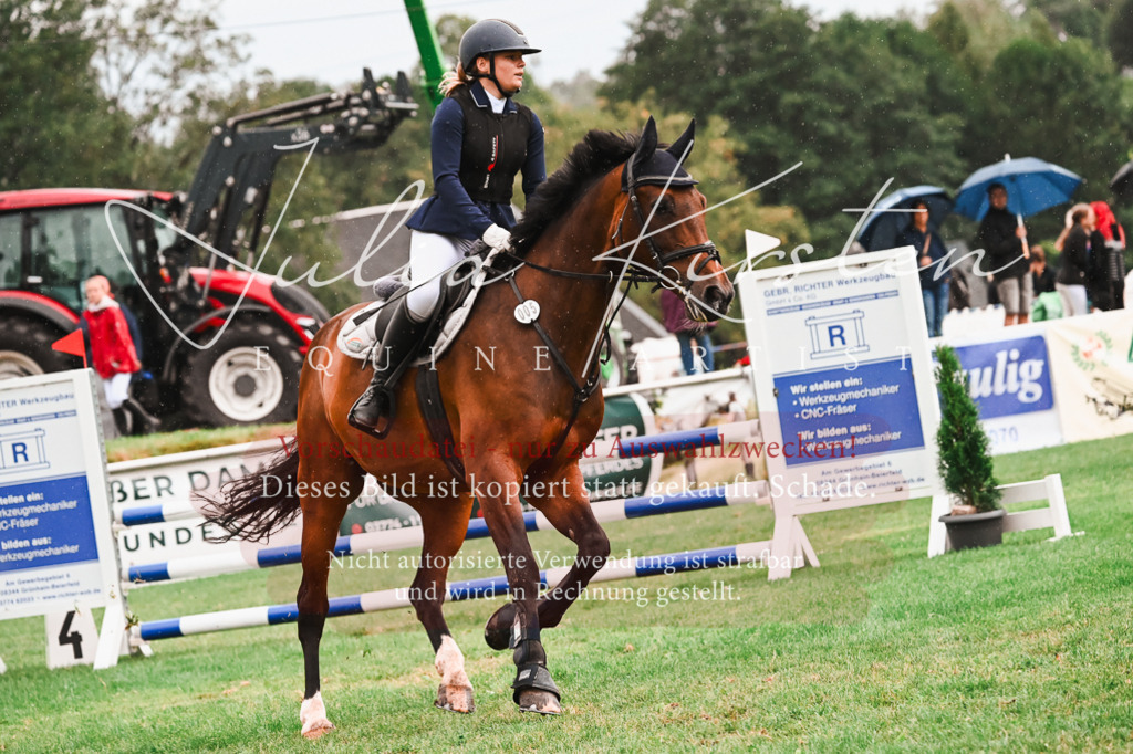 DSC_6395 | Pferde- und Turnierfotografie in Westsachsen. Pferdeportraits, Auftragszeichnungen und intuitive Kunst.
