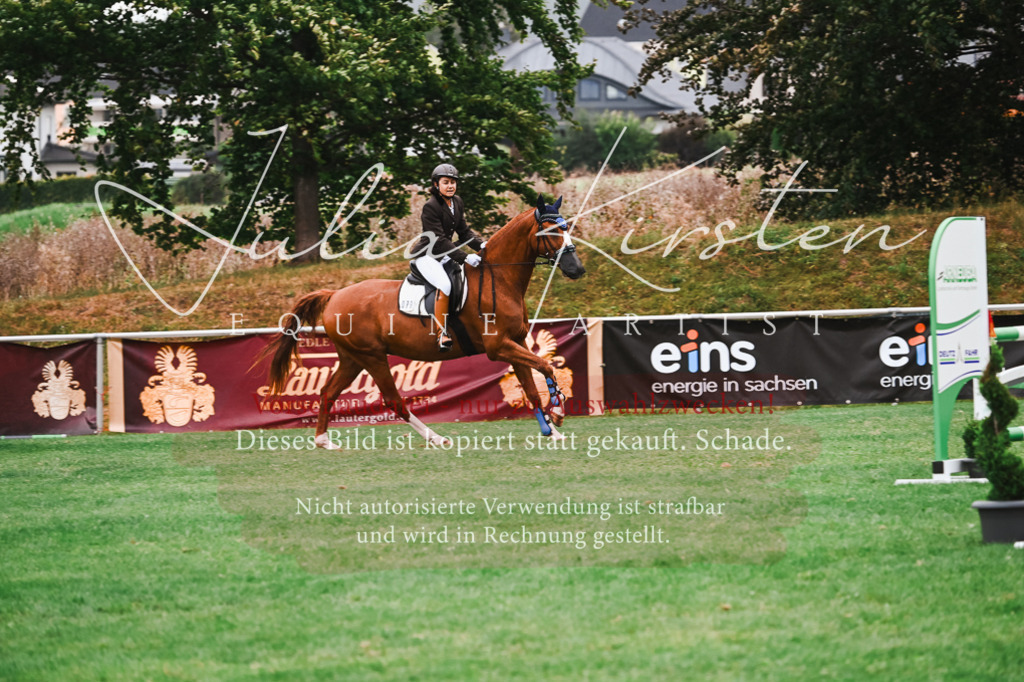 DSC_5880 | Pferde- und Turnierfotografie in Westsachsen. Pferdeportraits, Auftragszeichnungen und intuitive Kunst.