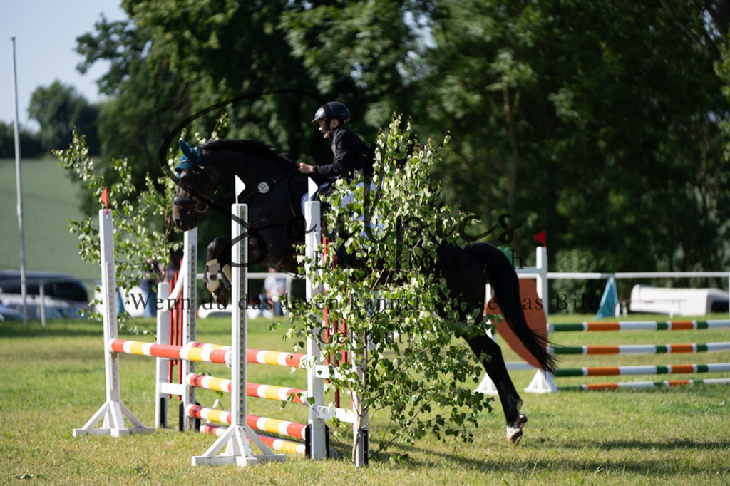 A7V05289 | Pferdefotograf