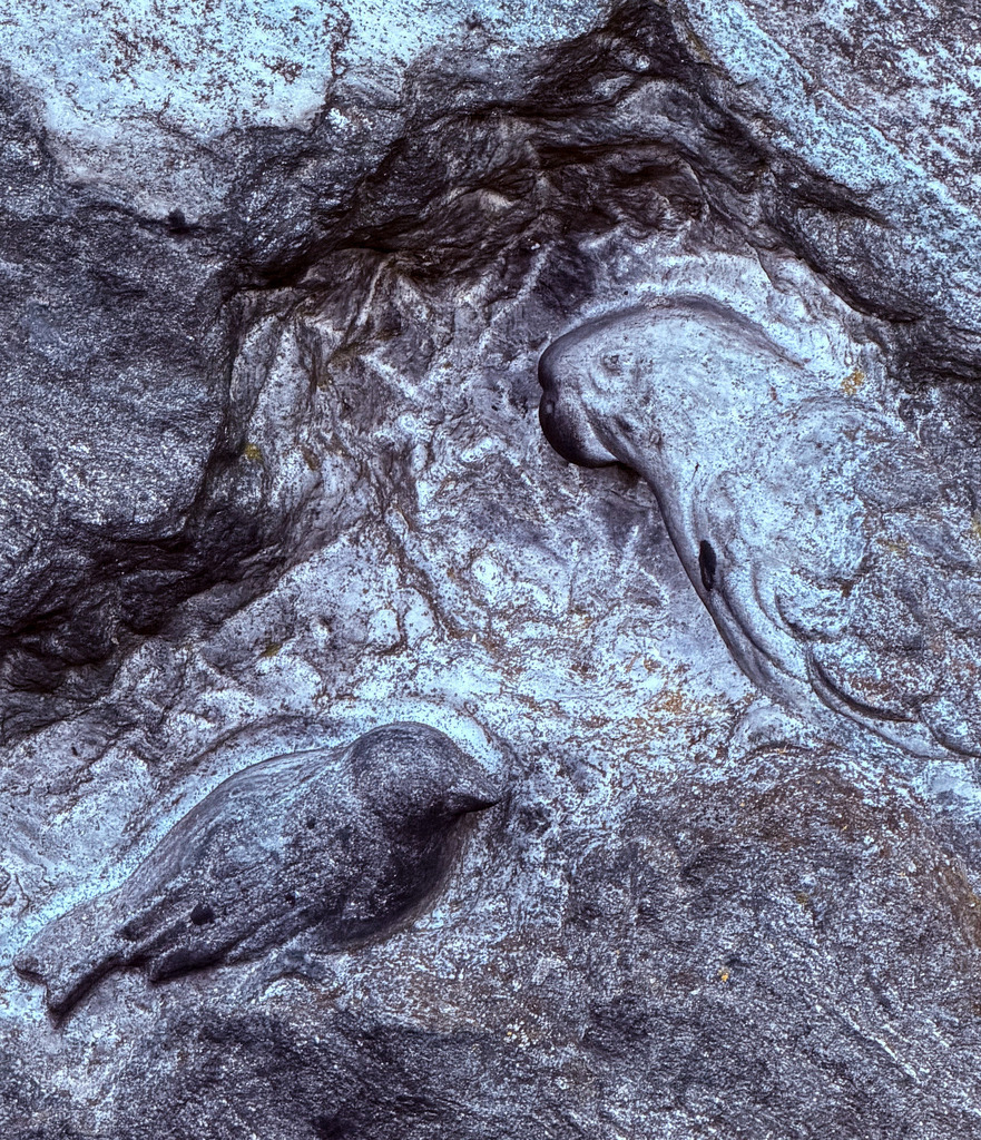 Wandbild Kunstdruck Poster – Der zweite Blick: Steinerne Seelen I von Robert Steinke | Ein tiefgründiges und berührendes Meisterwerk der kreativen Naturfotografie, das die verborgene Poesie des Vergänglichen einfängt. Auf den ersten Blick betrachten wir eine stark verwitterte, raue Naturstruktur auf einem alten Friedhof. Doch wer bereit ist für den zweiten Blick, dem offenbart sich ein faszinierendes Wunder der Pareidolie: Wie von Geisterhand gezeichnet erwachen aus dem Stein zwei unverkennbare Vögel zum Leben. Unten links zeichnet sich die filigrane, flauschige Silhouette eines kleinen Spatzes ab, der in stiller Andacht verweilt. Oben rechts formt die Textur in spektakulärer Deutlichkeit den majestätischen Kopf eines großen Papageis mit seinem charakteristischen, mächtigen Schnabel. Eine faszinierende und friedliche Symbiose aus Natur, Zeit und Fantasie.Dieses ausdrucksstarke und kunstvolle Motiv bringt eine tiefe Ruhe, eine mystische Eleganz und einen unerschöpflichen Gesprächsstoff in deine Räume. Ein absolut einzigartiger Blickfang für ein modernes Wohnzimmer, das kreative Büro, ein stilvolles Loft oder für eine harmonische Atmosphäre im Schlafzimmer.Um die plastische, steinerne Textur und die feinen Silhouetten dieses Meisterwerks perfekt zur Geltung zu bringen, empfehle ich dringend den Druck auf unseren Premium-Materialien: Erlebe maximale Tiefe auf edlem Acrylglas, hochmoderne Eleganz auf robustem Alu-Dibond oder einen besonders weichen, organischen Charakter auf unserer matten Premium-Leinwand. Hol dir dieses faszinierende Geheimnis direkt an deine Wand! - Realisiert mit Pictrs.com