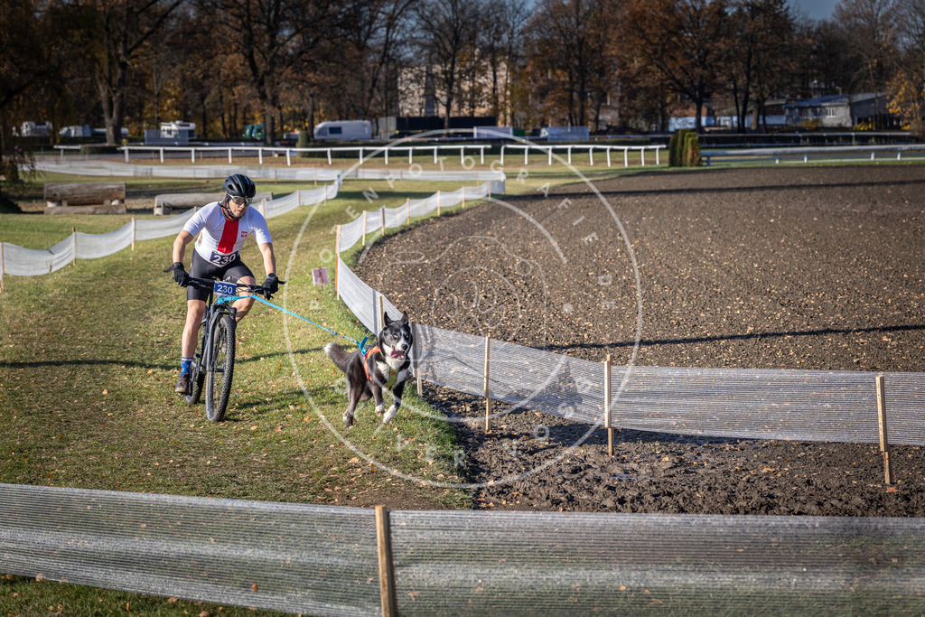 CaniXpix_DV3A3842 | Hundefotografie, Tierfotograf, Pfotenfotografie, Fotoshooting Hund, Hunde Portrait, Hundesport, Hundeportraits, Heideshooting, Hunde, Sportfotograf, Hundefotograf, Turnierhundsport, THS,  - Realisiert mit Pictrs.com