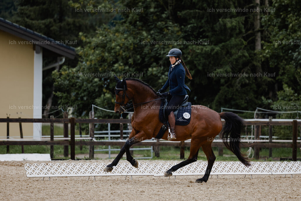 Nadine22_FHC2025-14 | working equitationturnier fotograf videograf stoibphotography marixx film working equitation deutschland reitsport turnierfotografie eventfotografie equestrian events