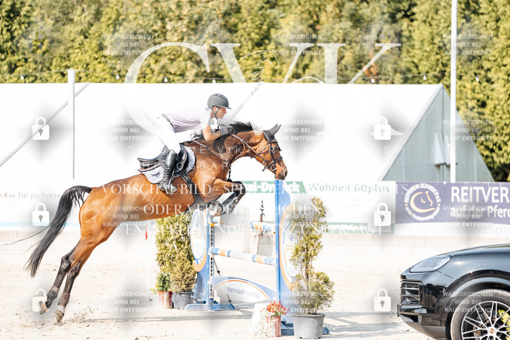 CK902487 | Turnierfotografie Pferdefotografie Trier Rheinland-Pfalz Pferdesport Reitsport Tierfotografie Sportfotografie Pferdevideo Pferdevideografie Equestrianvideography equestrianphotography  - Realisiert mit Pictrs.com