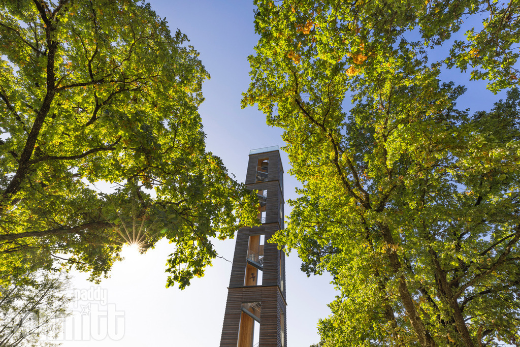 Bannwaldturm im Pfrungener Ried bei Ostrach | Der Bannwaldturm im Pfrungener Ried bei Ostrach ragt eindrucksvoll über die weite und ursprüngliche Moorlandschaft. Von hier eröffnet sich ein besonderer Blick über die naturbelassene Umgebung und die stille, abwechslungsreiche Landschaft des Rieds. - Realisiert mit Pictrs.com