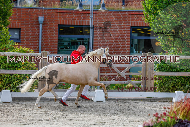 GK (256 von 759) | mandyhollmannphotographie