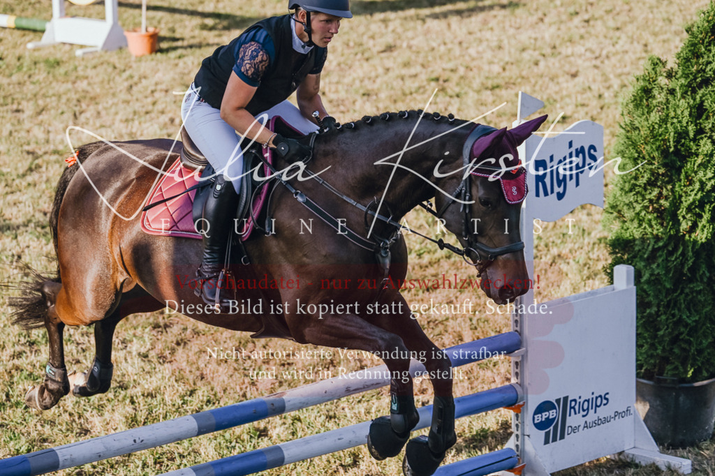 DSC_3251 | Pferde- und Turnierfotografie in Westsachsen. Pferdeportraits, Auftragszeichnungen und intuitive Kunst.