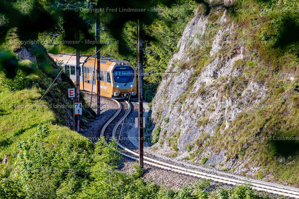 Mariazellerbahn und Blumen-6584 1 | Fotos und Fotoprodukte - Realisiert mit Pictrs.com