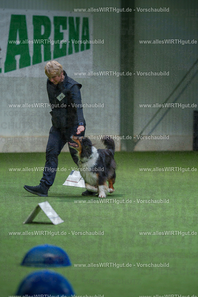 7R506094 | Professionelle Tierfotografie in Mönchengladbach von Daniel Wirth (allesWIRTHgut). Liebevolle & natürliche Bilder von Hunden & Katzen für unvergessliche Erinnerungen.