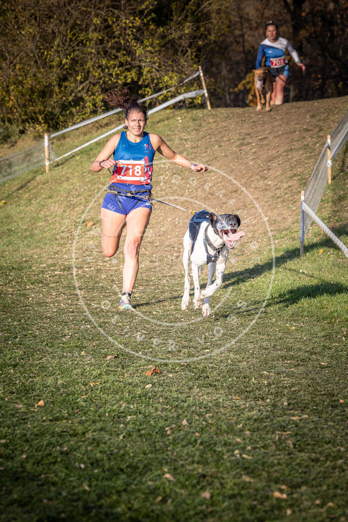 CaniXpix_0L8A9594 | Hundefotografie, Tierfotograf, Pfotenfotografie, Fotoshooting Hund, Hunde Portrait, Hundesport, Hundeportraits, Heideshooting, Hunde, Sportfotograf, Hundefotograf, Turnierhundsport, THS,  - Realisiert mit Pictrs.com