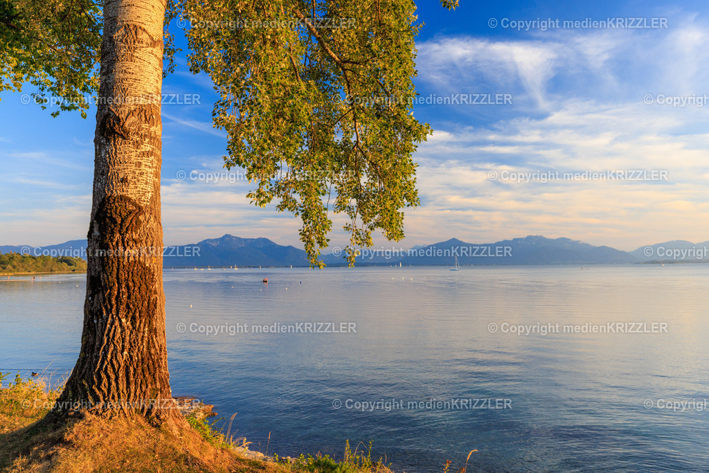 _J3A8437 | medienkrizzler - Realisiert mit Pictrs.com