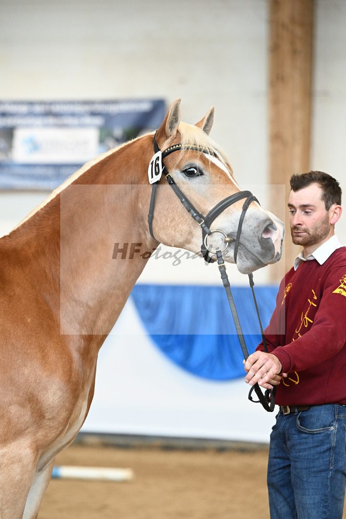 Kat-Nr. 16 nn v. Neustart_Obermeyer_48250926 | hf-fotografie - Realisiert mit Pictrs.com