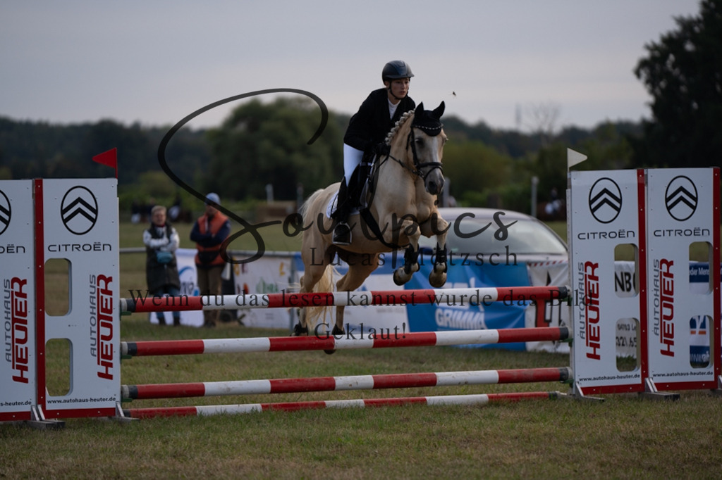 A7V07978 | Pferdefotograf