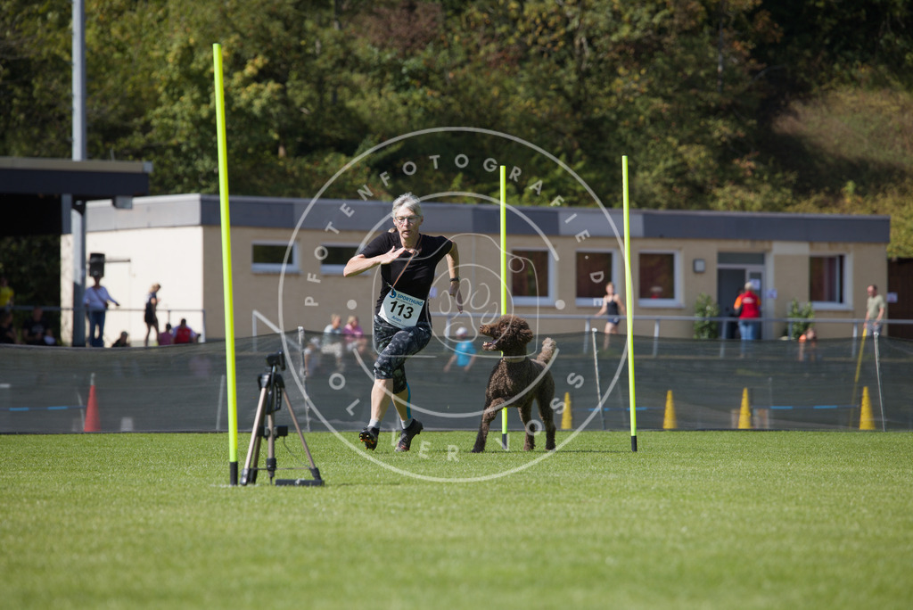 0L8A2736 | Hundefotografie, Tierfotograf, Pfotenfotografie, Fotoshooting Hund, Hunde Portrait, Hundesport, Hundeportraits, Heideshooting, Hunde, Sportfotograf, Hundefotograf, Turnierhundsport, THS,  - Realisiert mit Pictrs.com