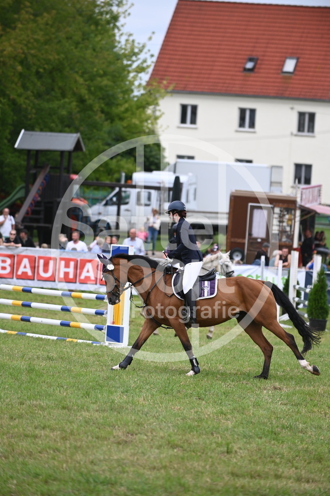 DSC_0706 | sattelsport - Realisiert mit Pictrs.com