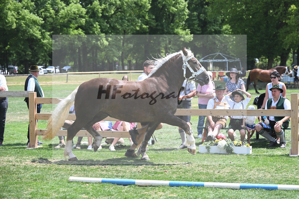 Kat-Nr. 43 Tabea_Schwarz_20230666 | hf-fotografie - Realisiert mit Pictrs.com