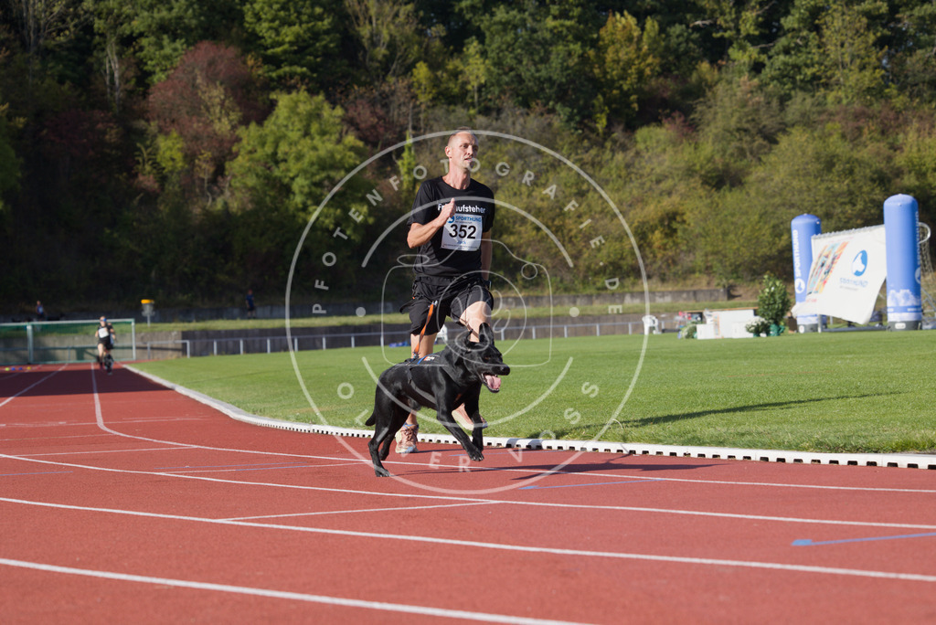 0L8A9930 | Hundefotografie, Tierfotograf, Pfotenfotografie, Fotoshooting Hund, Hunde Portrait, Hundesport, Hundeportraits, Heideshooting, Hunde, Sportfotograf, Hundefotograf, Turnierhundsport, THS,  - Realisiert mit Pictrs.com