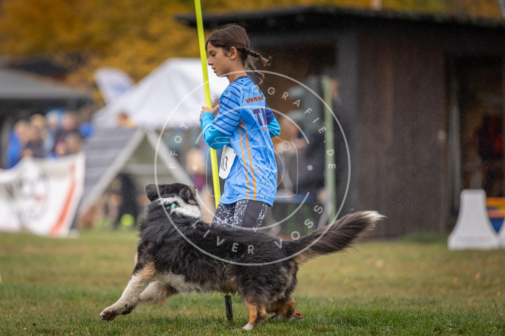 Pfotenfotografie_DV3A9691 | Hundefotografie, Tierfotograf, Pfotenfotografie, Fotoshooting Hund, Hunde Portrait, Hundesport, Hundeportraits, Heideshooting, Hunde, Sportfotograf, Hundefotograf, Turnierhundsport, THS,  - Realisiert mit Pictrs.com