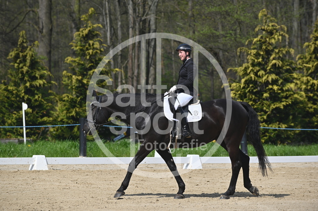 DSC_1144 | sattelsport - Realisiert mit Pictrs.com