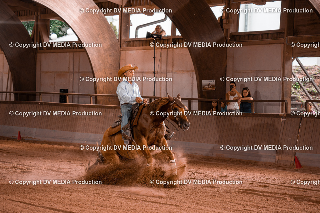 NE300835 | dv-media-shop - Realisiert mit Pictrs.com