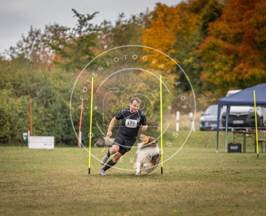 Pfotenfotografie_DV3A6387 | Hundefotografie, Tierfotograf, Pfotenfotografie, Fotoshooting Hund, Hunde Portrait, Hundesport, Hundeportraits, Heideshooting, Hunde, Sportfotograf, Hundefotograf, Turnierhundsport, THS,  - Realisiert mit Pictrs.com