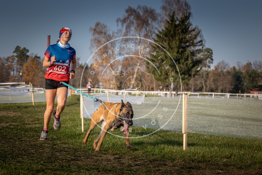 CaniXpix_0L8A9963 | Hundefotografie, Tierfotograf, Pfotenfotografie, Fotoshooting Hund, Hunde Portrait, Hundesport, Hundeportraits, Heideshooting, Hunde, Sportfotograf, Hundefotograf, Turnierhundsport, THS,  - Realisiert mit Pictrs.com