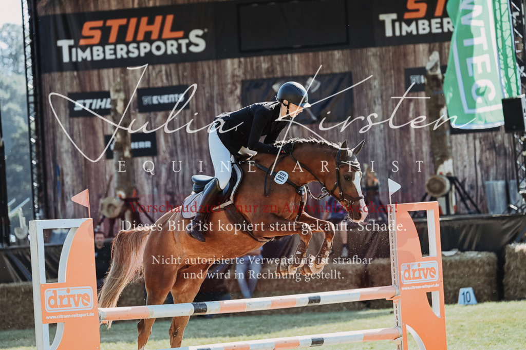 DSC_5411 | Pferde- und Turnierfotografie in Westsachsen. Pferdeportraits, Auftragszeichnungen und intuitive Kunst.