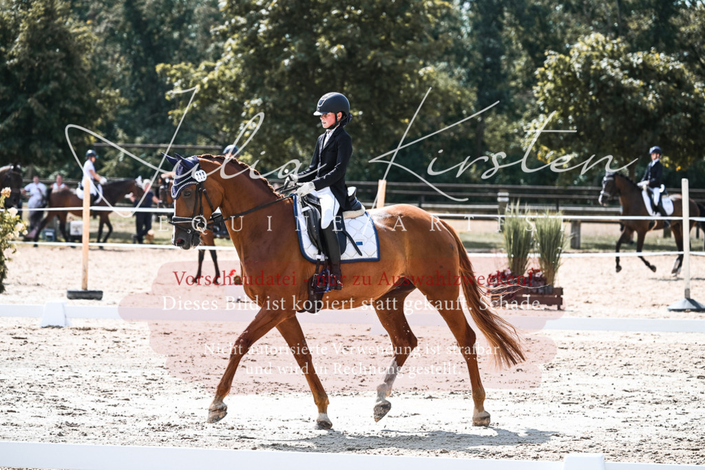 DSC_5118 | Pferde- und Turnierfotografie in Westsachsen. Pferdeportraits, Auftragszeichnungen und intuitive Kunst.
