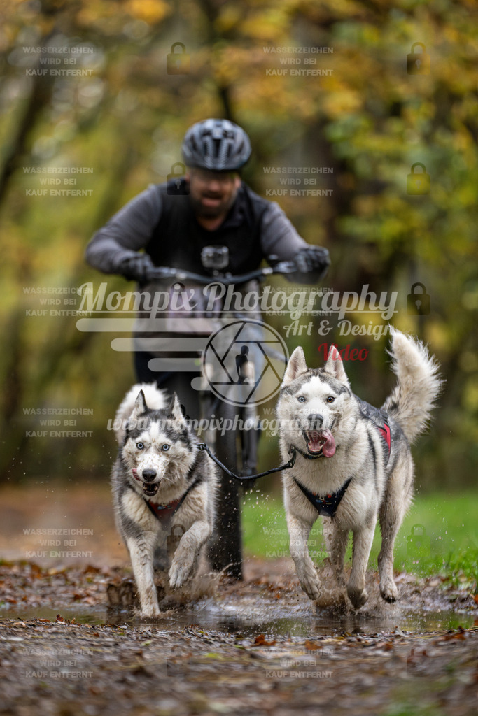 MompixPhotography_Bischwiller23_DS2-27 | mompixphotography