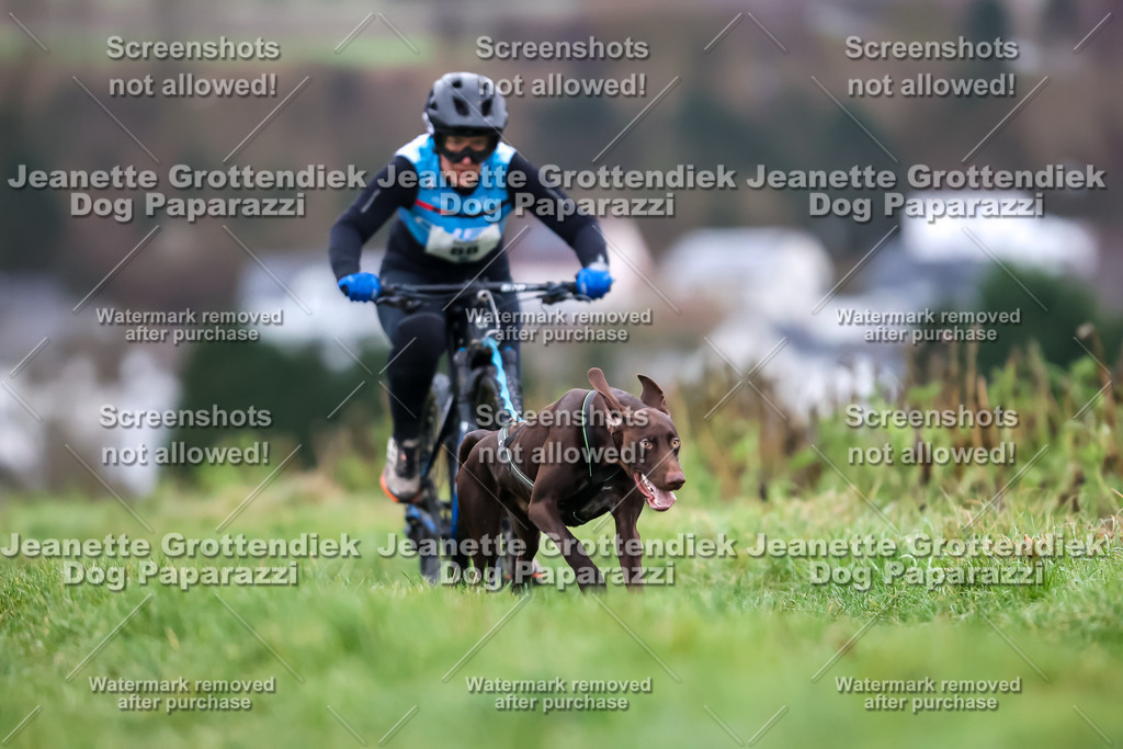 Dog Paparazzi - Herkules Race  2025-6 | Dog Paparazzi Jeanette Grottendiek Fotografie & Videografie - Realisiert mit Pictrs.com