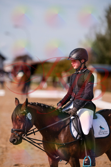 2026_10_03_Siefer-Hof_120520_Z81_07152856 | Professionelle Reitsport-, Turnier- und Eventfotografie von Robert Broda. Galerien mit ausgewählten und bearbeiteten Bildern direkt online ansehen und bestellen.