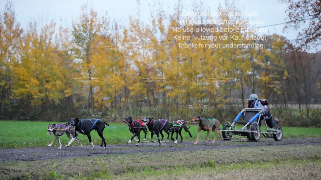 Visbeck_Sa_D4_6-67 | stephaniefillaphotographie - Realisiert mit Pictrs.com