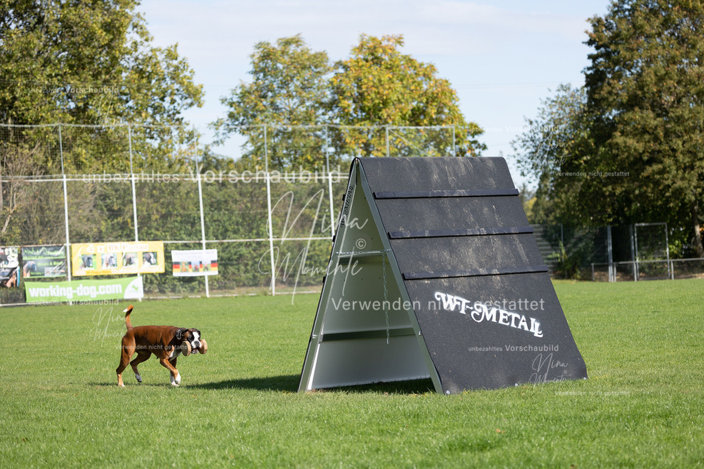 _16A6966 | Einzigartige Fotos von Hunden & Menschen –Actionfotos, Portraits, Vereinsaufnahmen & Paarshootings – authentisch, lebendig & mit Herz.