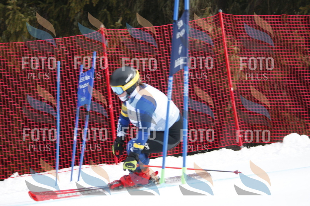 D4919 | holidayphoto