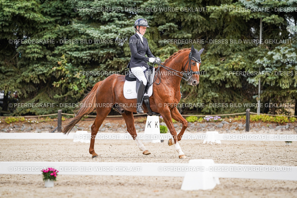 DSC04118 | Pferdegrafie