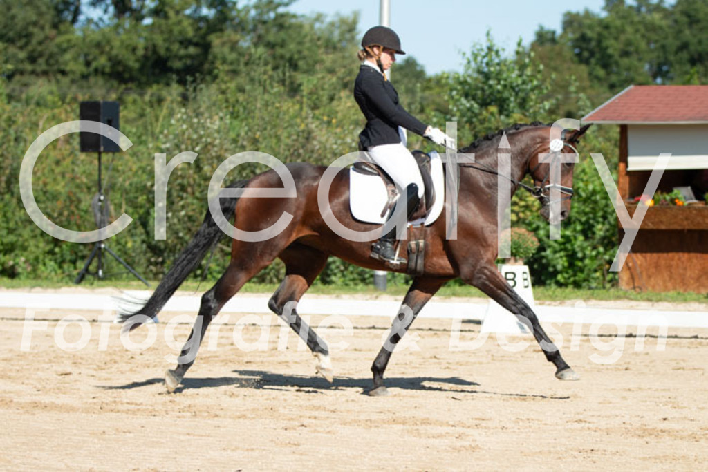 IMG_4934 | Creatify Fotografie