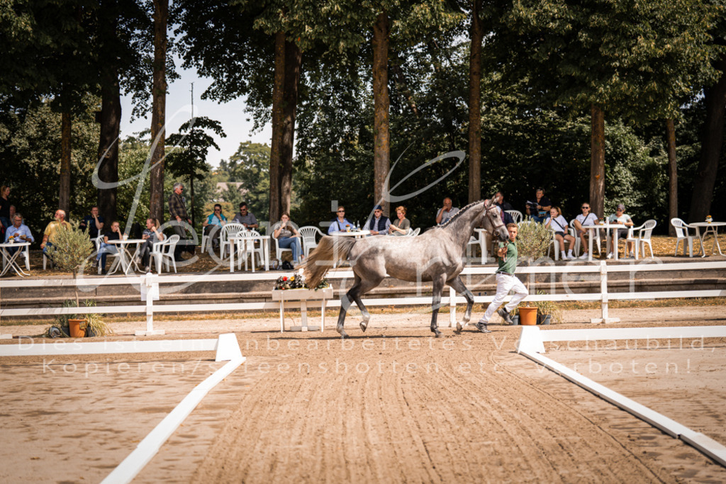 1.Fr00011 | Leoni Ertmer Photography - Realisiert mit Pictrs.com