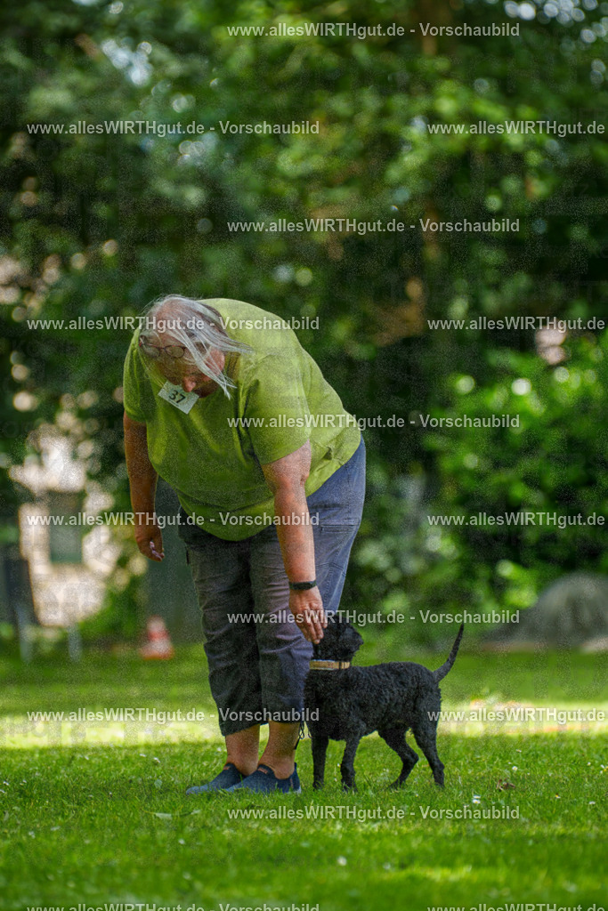 @allesWIRTHgut_Tierfotografie - www.allesWIRTHgut.de - 124936-7R509473 | Professionelle Tierfotografie in Mönchengladbach von Daniel Wirth (allesWIRTHgut). Liebevolle & natürliche Bilder von Hunden & Katzen für unvergessliche Erinnerungen.