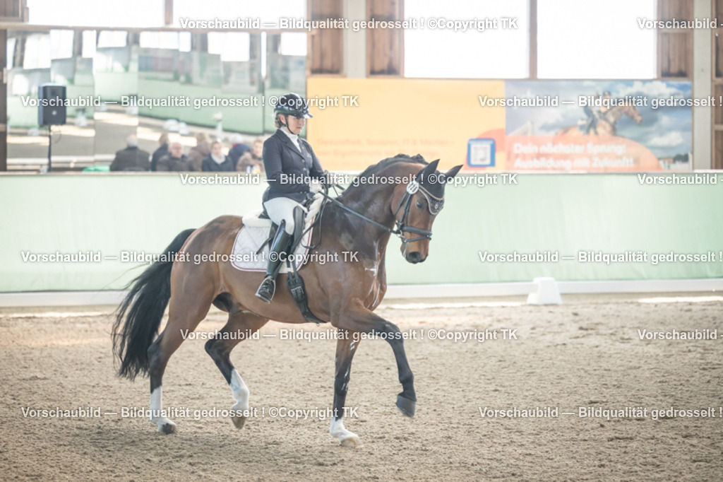 _D5A0786 | Emotionale Pferde- & People-Fotografie rund um Heidelberg, Leimen & Umgebung. Natürliche Fotos von Pferd, Mensch & Familie. Jetzt Termin sichern!