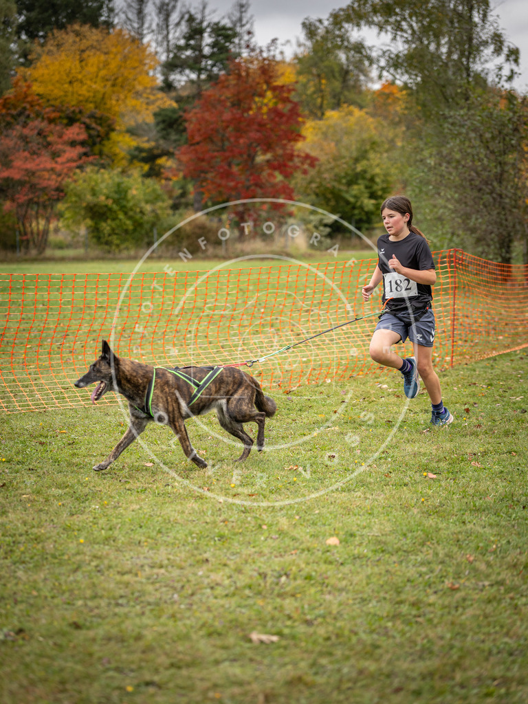 Pfotenfotografie_DV3A3720 | Hundefotografie, Tierfotograf, Pfotenfotografie, Fotoshooting Hund, Hunde Portrait, Hundesport, Hundeportraits, Heideshooting, Hunde, Sportfotograf, Hundefotograf, Turnierhundsport, THS,  - Realisiert mit Pictrs.com
