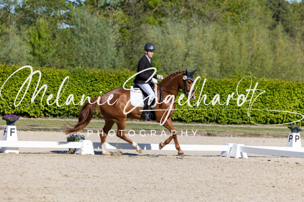7I8A9023 | melanie-engelhardt-photography - Realisiert mit Pictrs.com