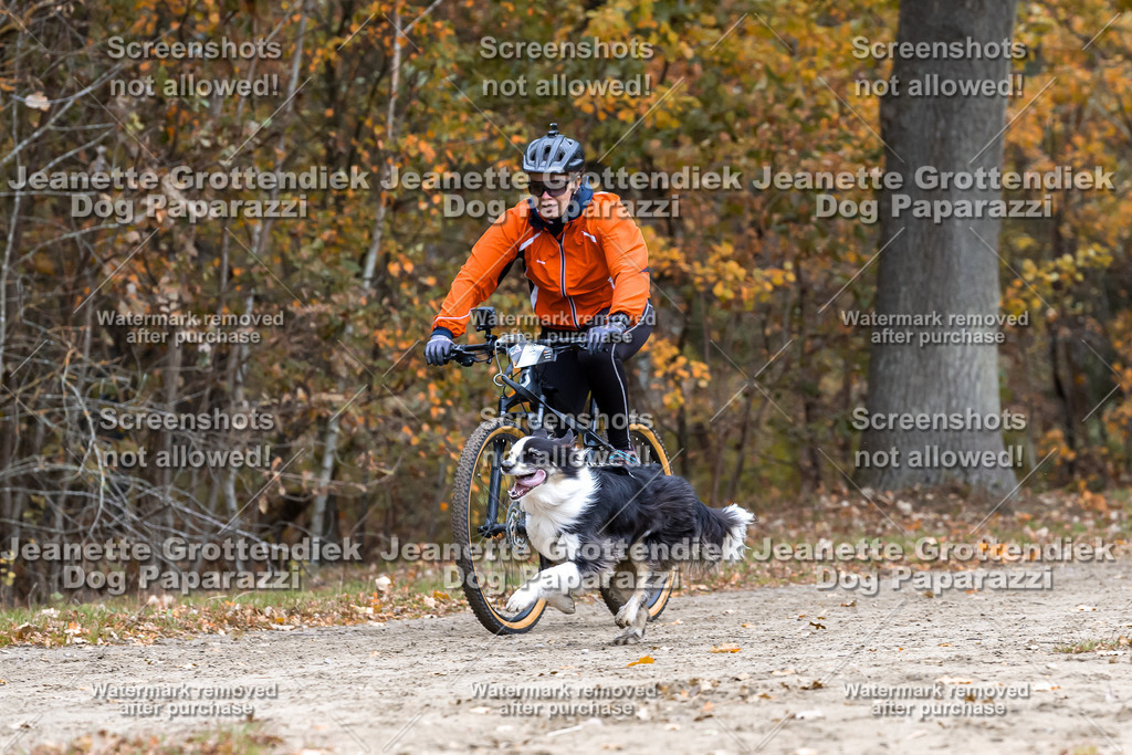 Dog Paparazzi - SD CaniX Championship 2025-581 | Dog Paparazzi Jeanette Grottendiek Fotografie & Videografie - Realisiert mit Pictrs.com